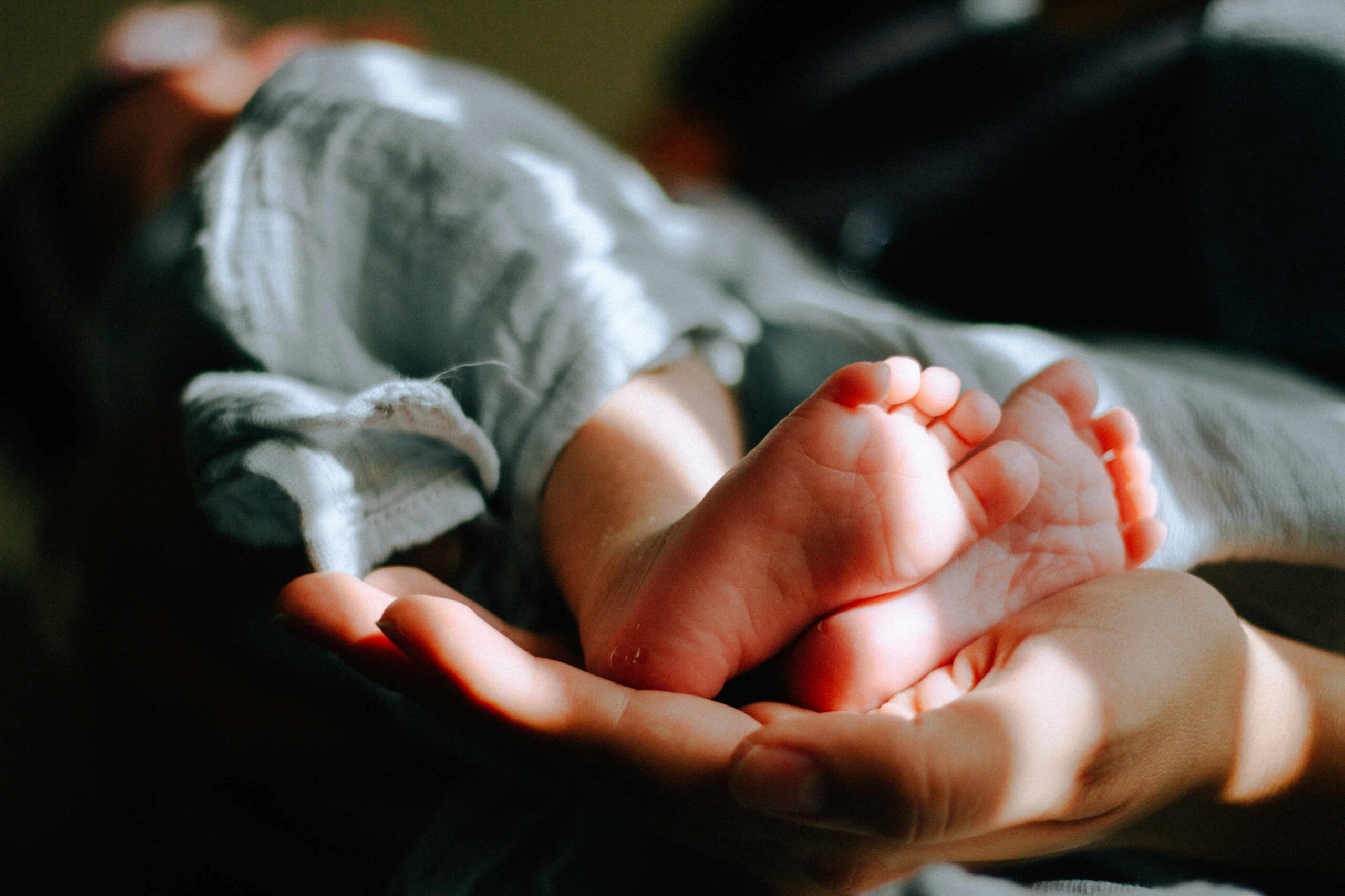 Lotus Doula Care, Birth Doula Services